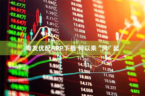 粤友优配APP下载 何以乘“风”起
